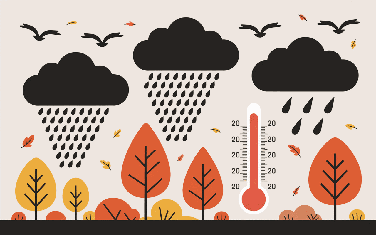 scène météo migration bécasse 2024 2025 pluie vent oiseaux