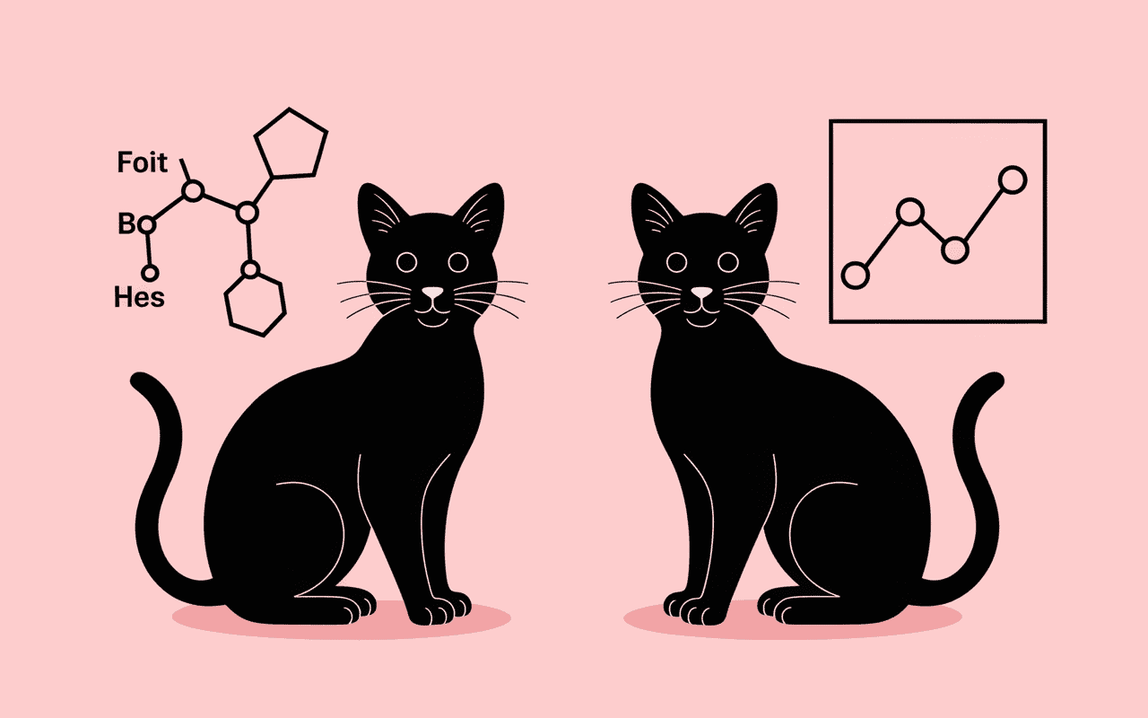 un chat stérilisé peut il avoir des rapports transformation hormonale