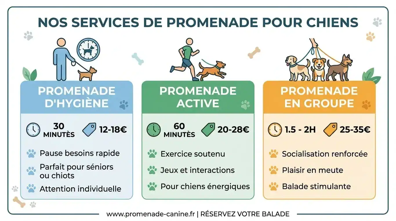 Infographie récapitulative des tarifs et types de prestations de promenade pour chien
