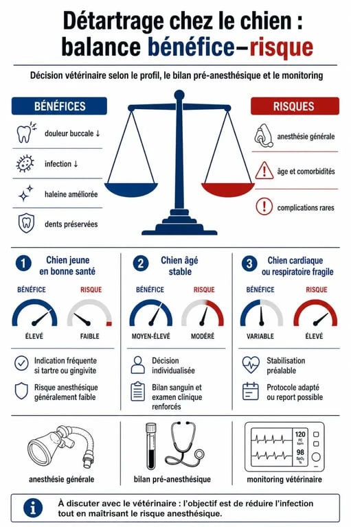 Détartrage chien danger : comparaison visuelle des risques selon l'âge et l'état de santé